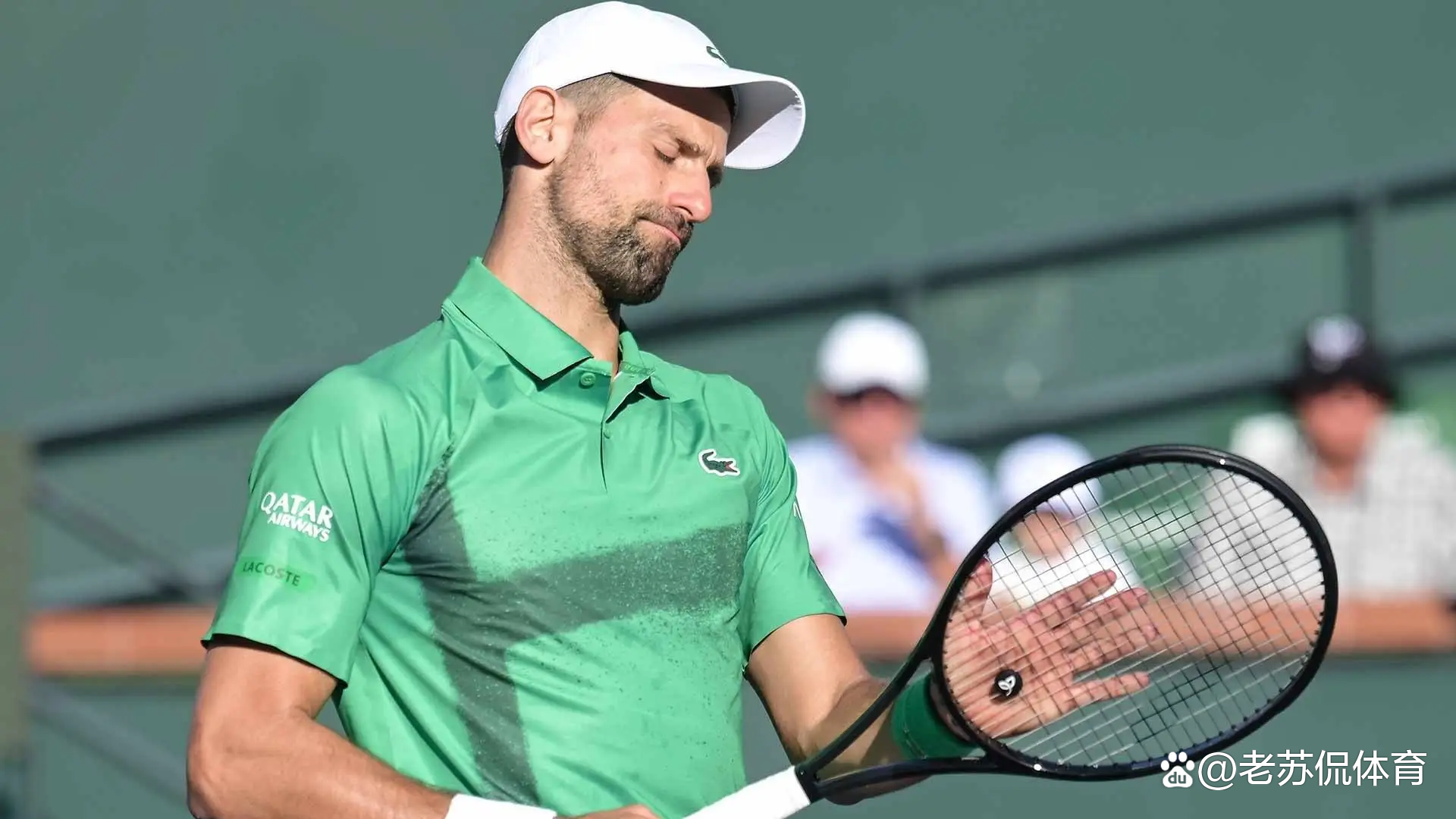 开云体育app-戴维斯杯力克蒙特卡洛大师赛，德约科维奇惊艳四座